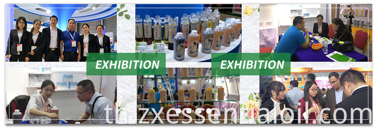 โรงงานซัพพลายธรรมชาติบริสุทธิ์ขายส่ง CAS 4871-97-0 น้ำมันขมิ้น Zedoary น้ำมัน Ezhu ที่มียอดขายสูงสุด